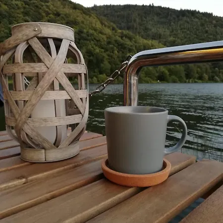 Tekne Hausboot Auf Der Mosel Polich