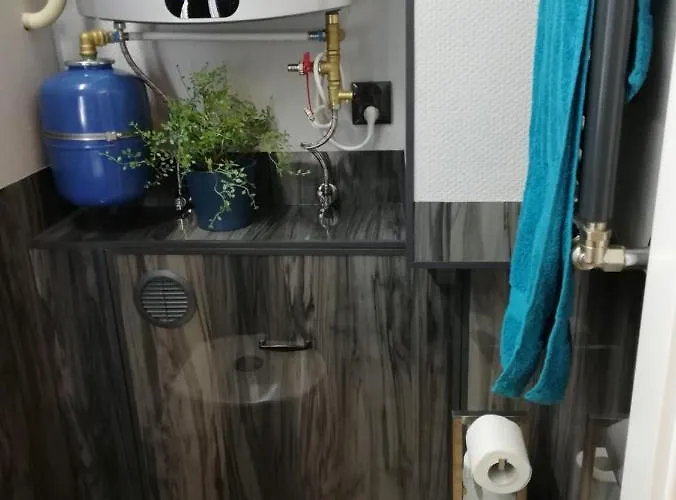 Hausboot Auf Der Mosel * Polich